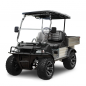 Preview: BT-Golfcars TM700